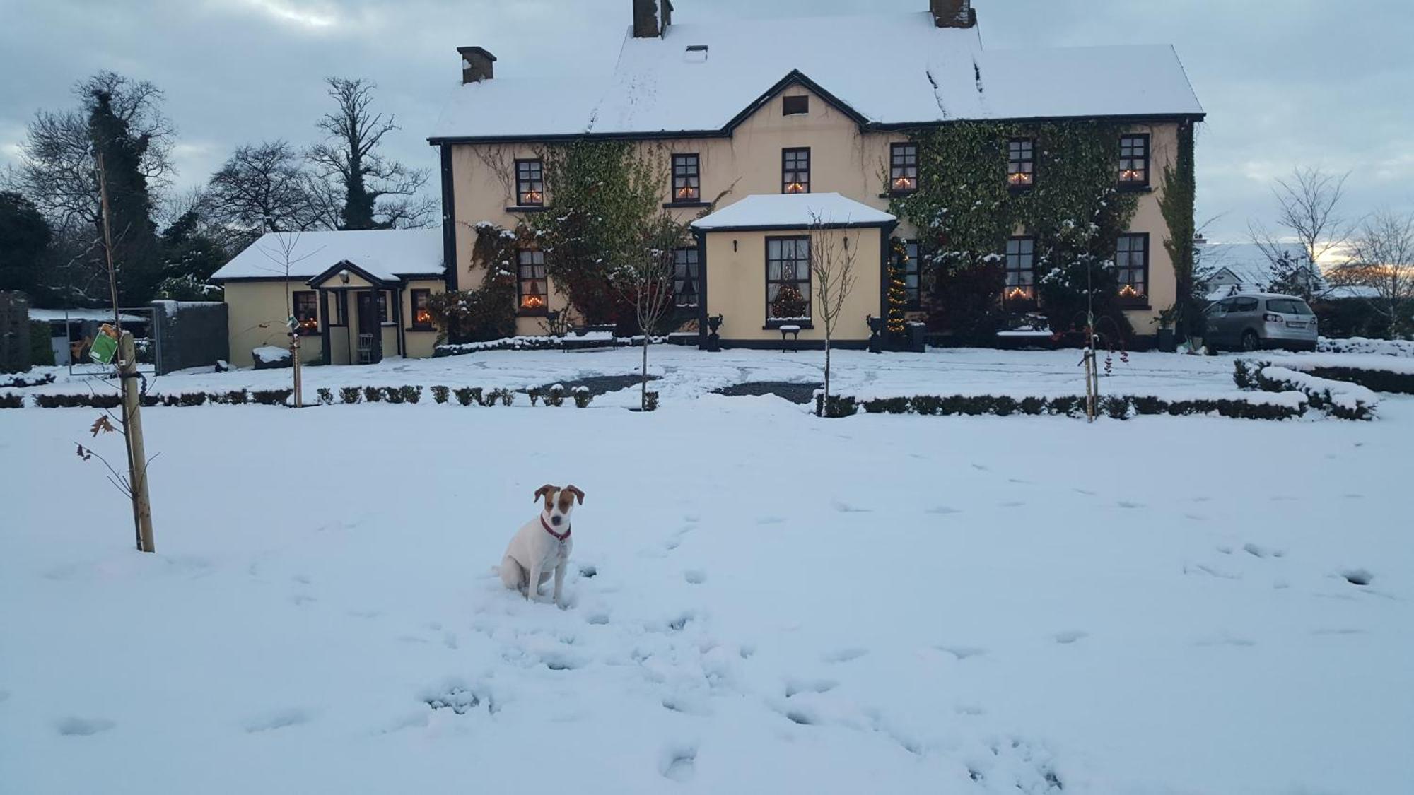 Charlotte'S Way B&B Banagher Exteriér fotografie